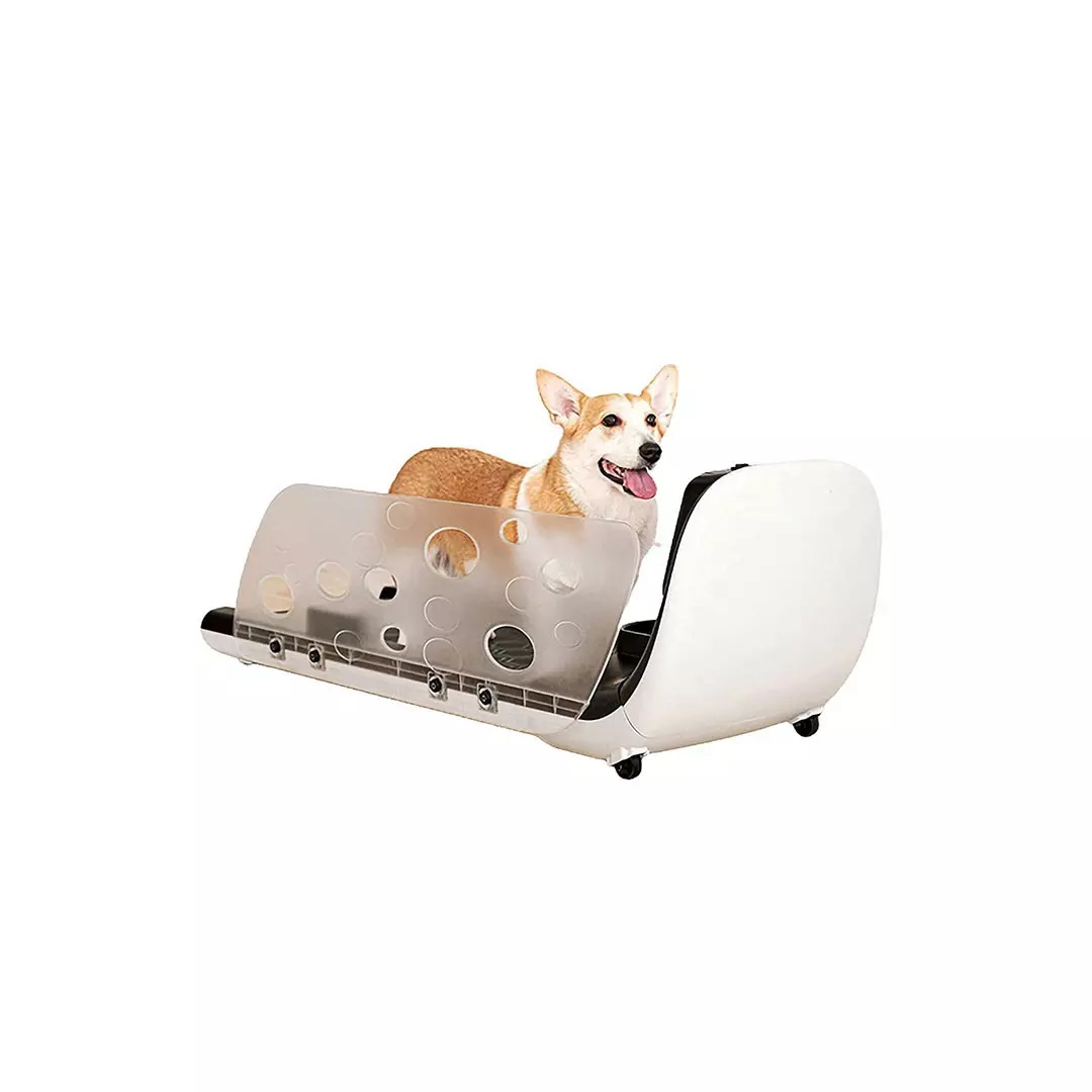 تردمیل هوشمند حیوان خانگی مدل yesoul pet treadmill Q1