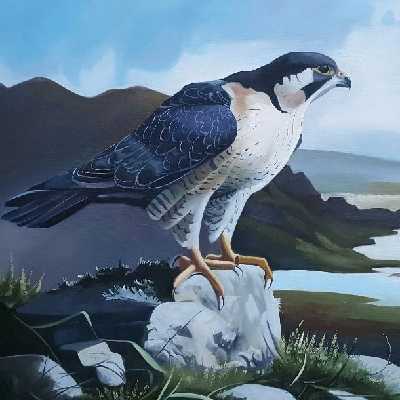 تابلو نقاشی رنگ روغن مدل شاهین در علفزار