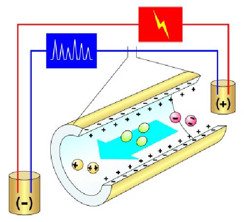 خرید و دانلود نسخه کامل کتاب Use of non-specific and specific interactions in the analysis of testosterone and related compounds by capillary electromigration techniques