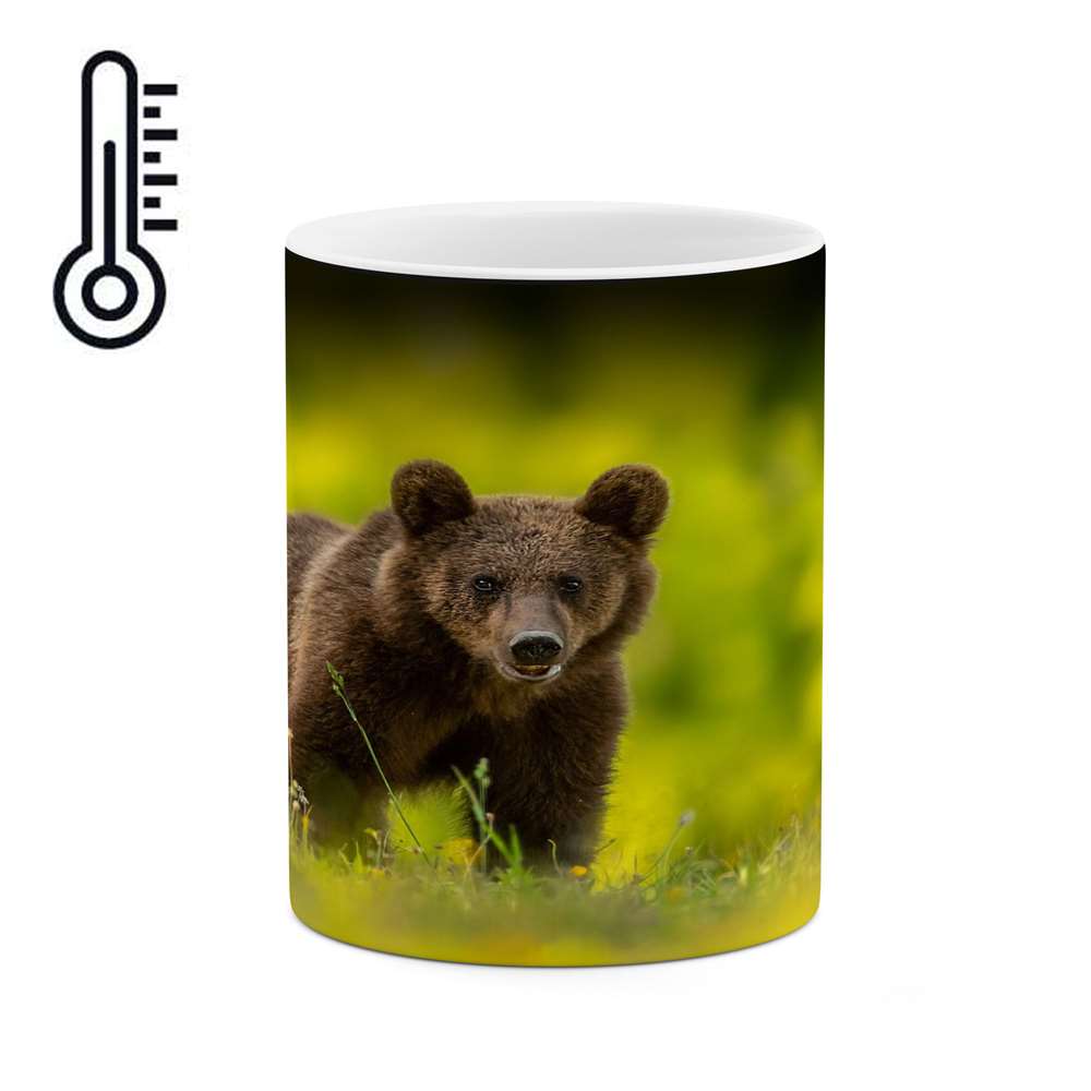 ماگ حرارتی کاکتی طرح خرس مدل mgh16464