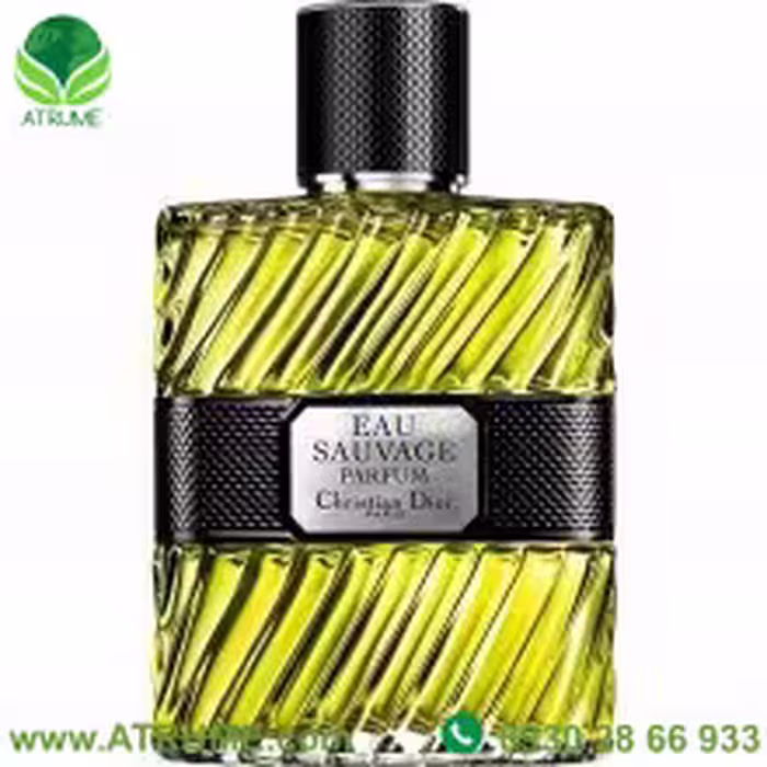 عطر ادکلن دیور او ساوج پارفیوم 2017 100 میل مردانه
