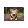 برچسب پوششی ماهوت مدل Dog-2 مناسب برای تبلت اپل iPad Air 2 2014 A1566