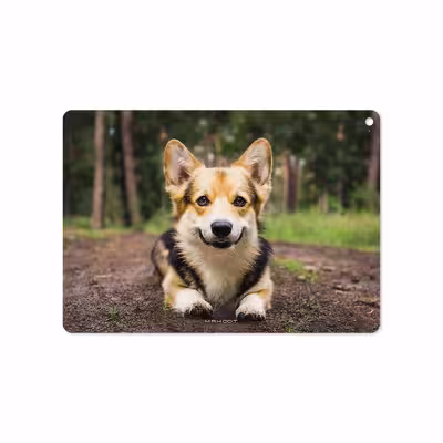 برچسب پوششی ماهوت مدل Dog-2 مناسب برای تبلت اپل iPad Air 2 2014 A1566