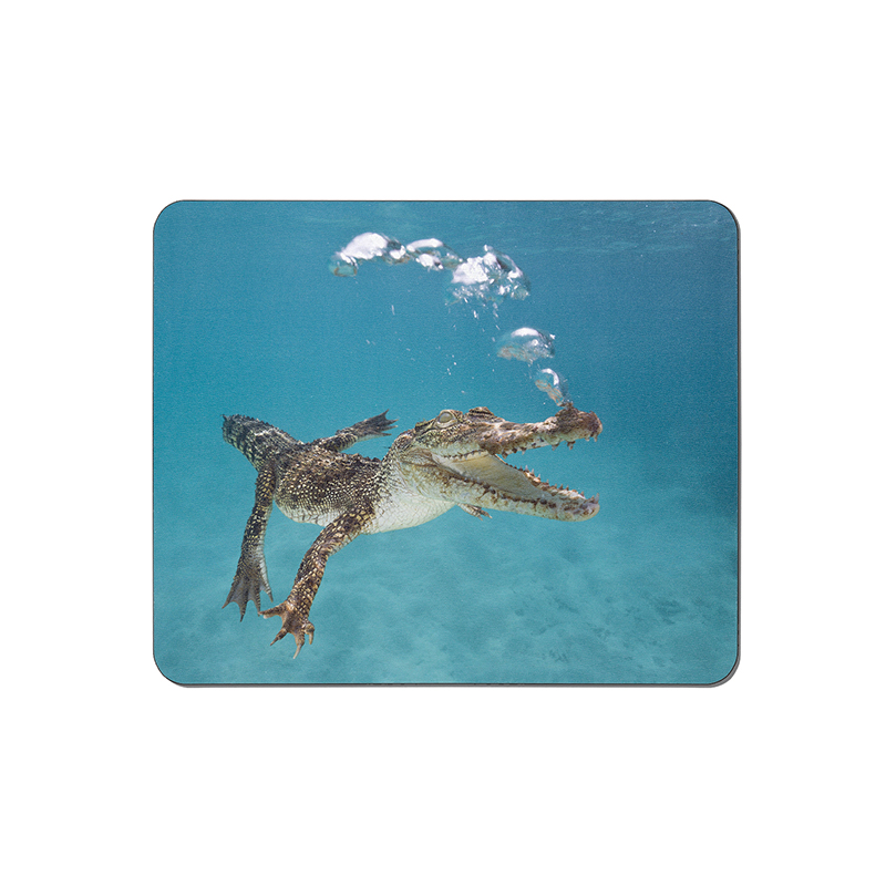 ماوس پد طرح تمساح کد 3696