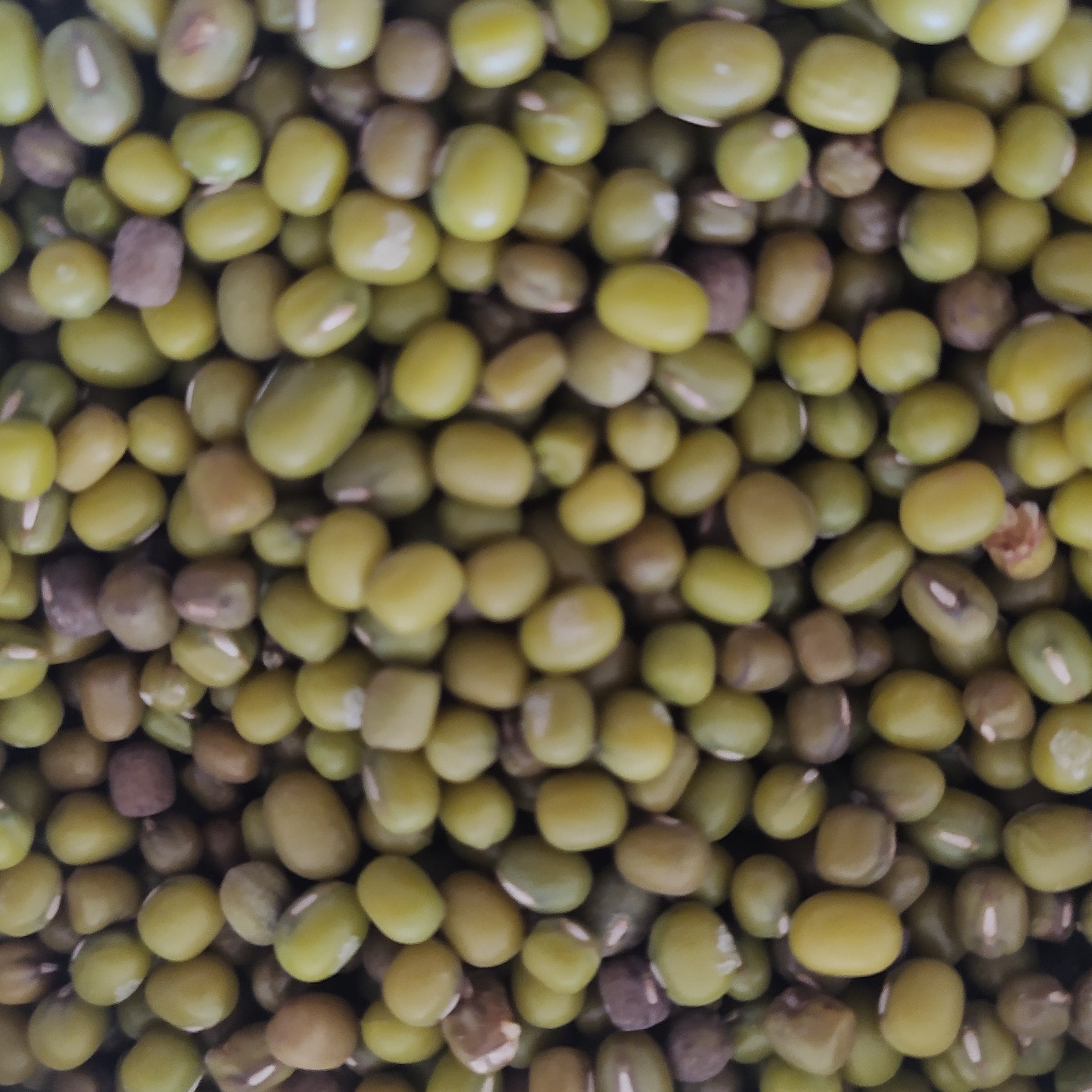 ماش،ارسال رایگان سه خرید یک محصول هدیه