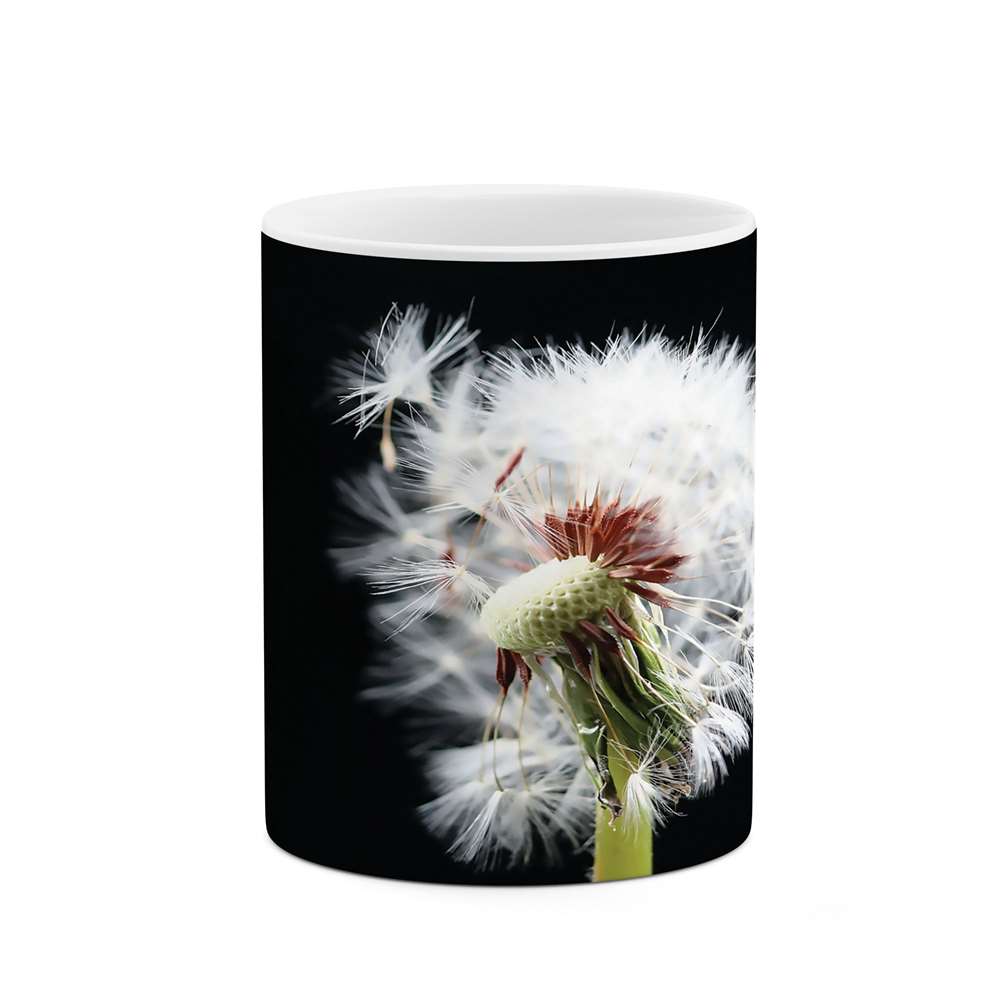 ماگ طرح قاصدک مدل mgs07502