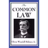 کتاب The Common Law اثر Oliver Wendell Holmes انتشارات Wilder Publications