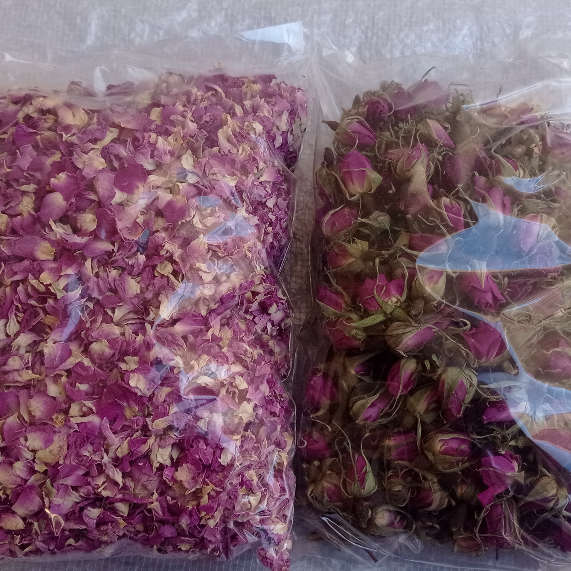 گل پر و غنچه خشک گل محمدی 