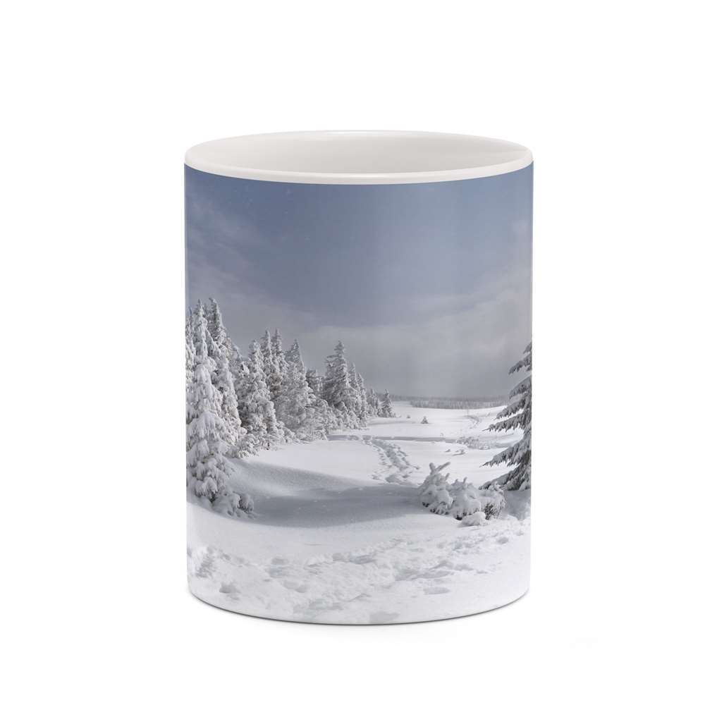 ماگ کاکتی طرح منظره برفی مدل mgh18500