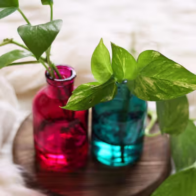 گلدان دکوری مدل SD23 مجموعه 2 عددی