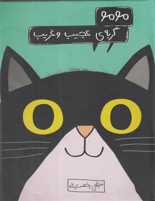 مومو،گربه ی عجیب و غریب