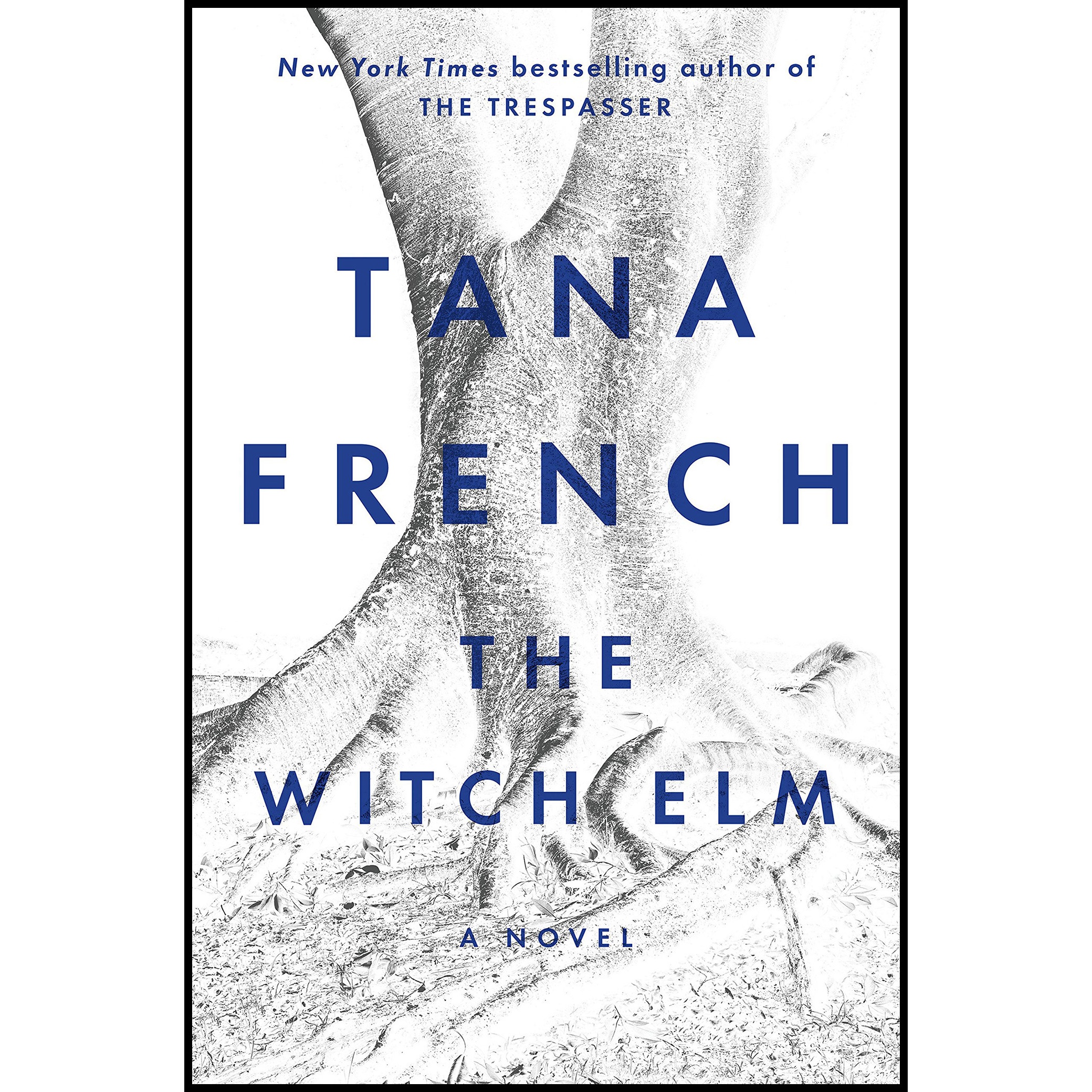 کتاب The Witch Elm اثر Tana French انتشارات Viking