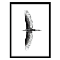 قیمت و خرید تابلو دکوراتیو مدل نقاشی گرافیکی پرنده کد 0283