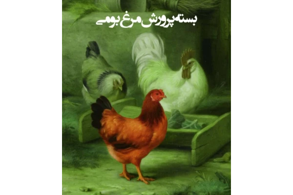 آموزش پرورش مرغ بومی و تخم گذار - 44 صفحه - کتابخانه مجازی واتیکان