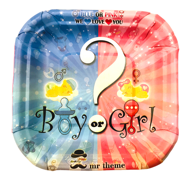 پیش دستی یکبار مصرف مسترتم مدل پلاس بسته 20 عددی