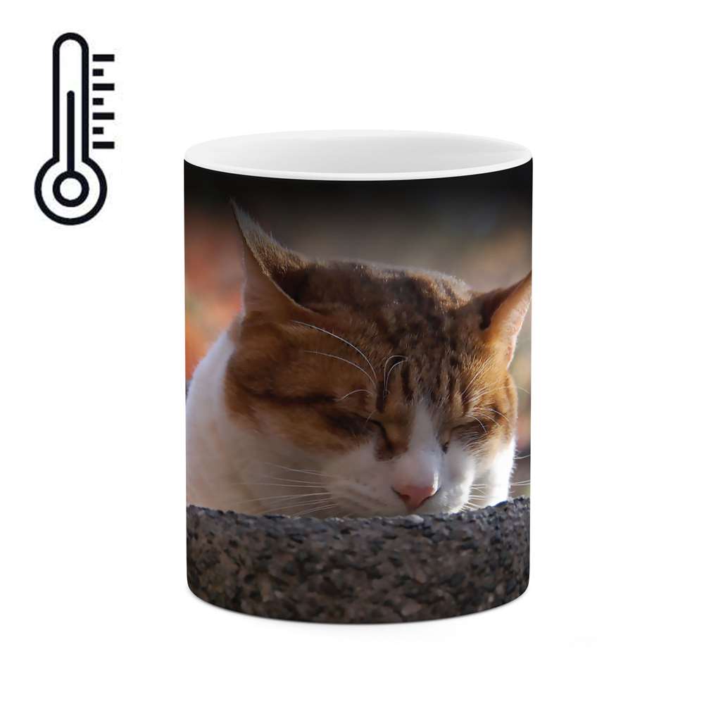 ماگ حرارتی طرح گربه مدل mgph01395