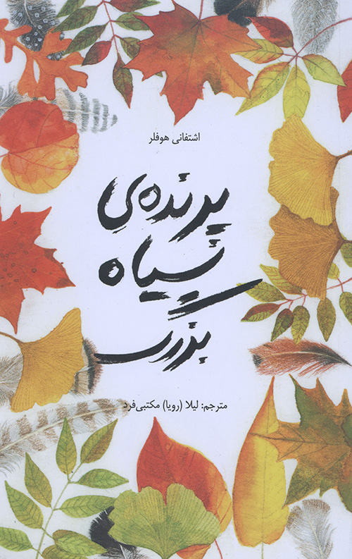 پرنده ی سیاه بزرگ