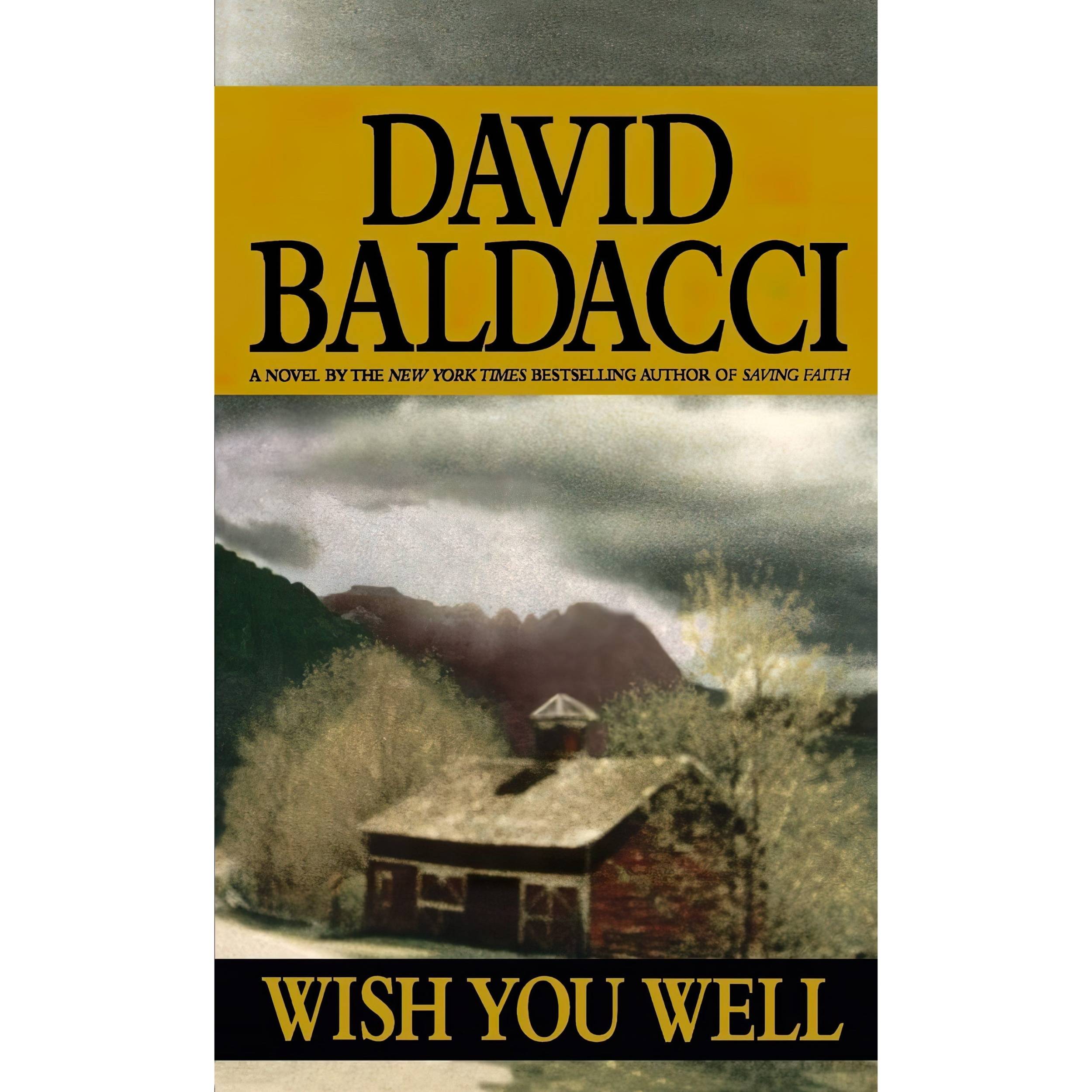 کتاب Wish You Well اثر David Baldacci انتشارات Warner Books