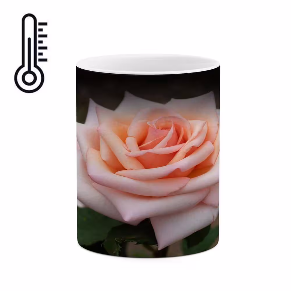 ماگ حرارتی کاکتی طرح گل مدل mgh17290