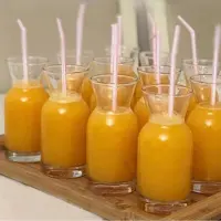 بطری پاشاباغچه مدل ویلیج کد 43818