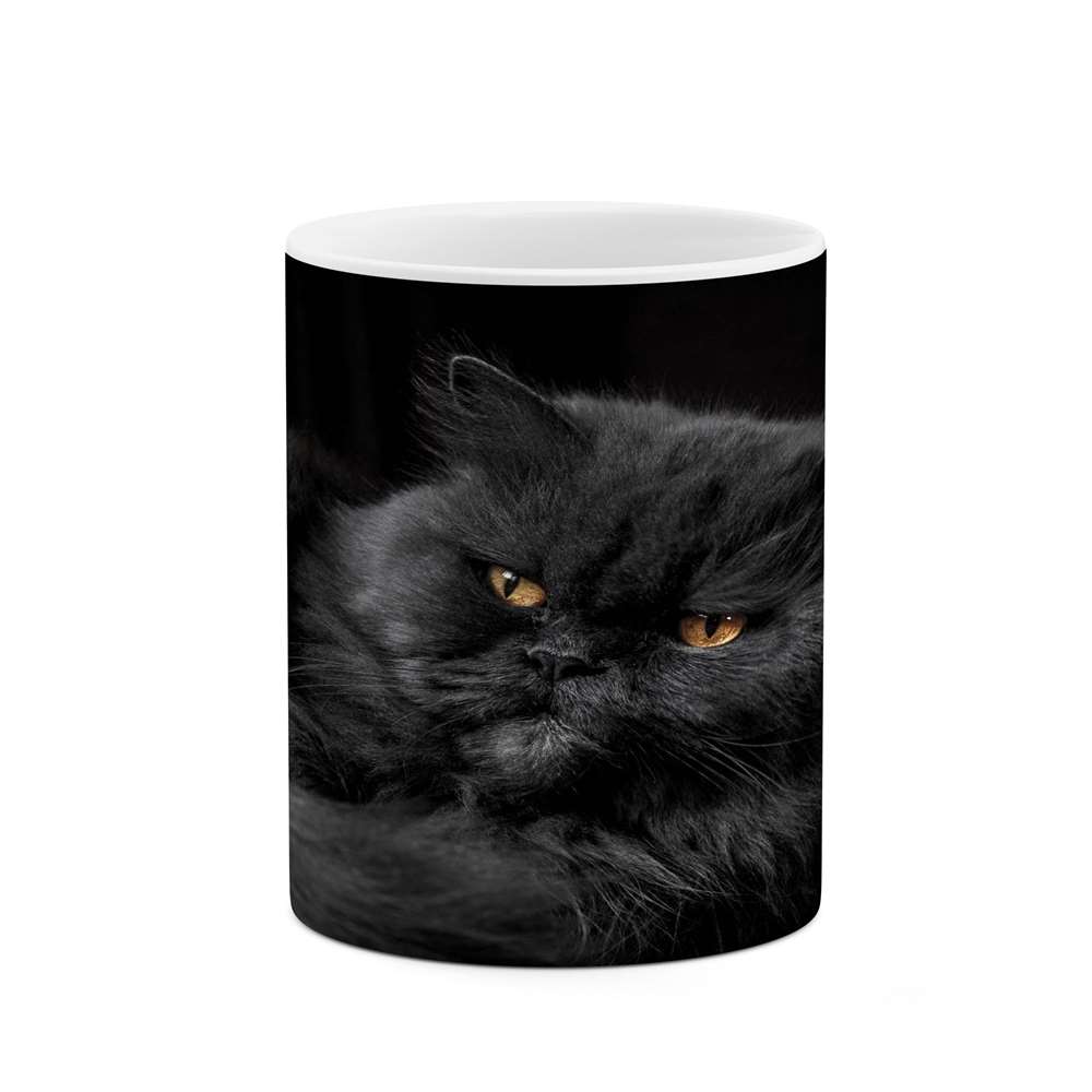 ماگ کاکتی طرح گربه مدل mgs16949