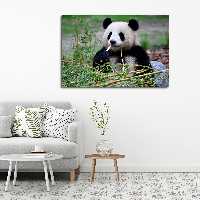 تابلوشاسی طرح پاندا کد 9