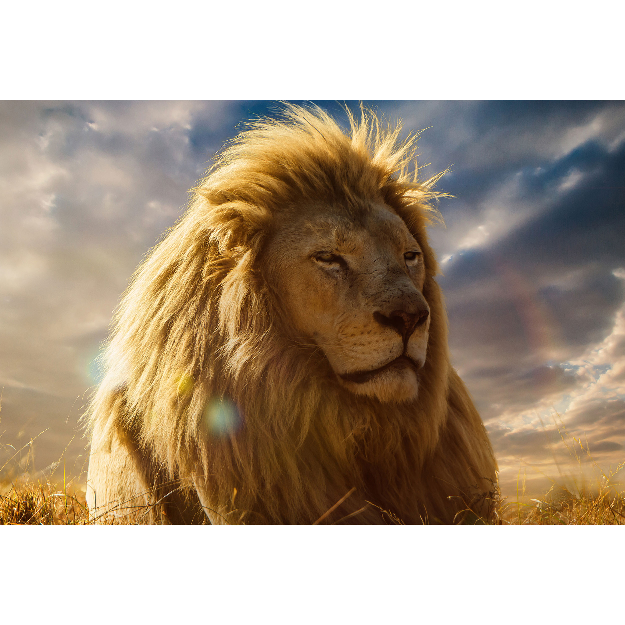 تابلو شاسی طرح شیر مدل T1629