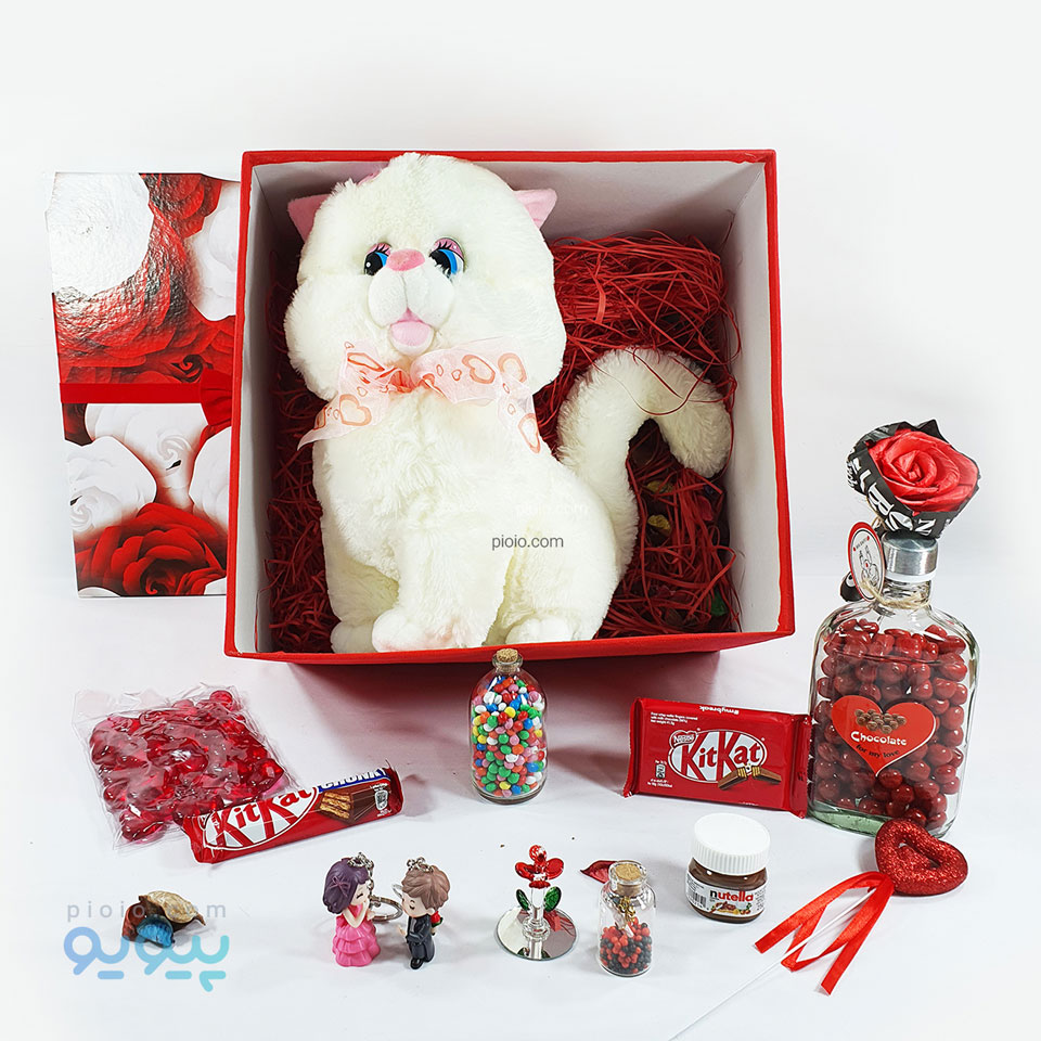 هدیه ولنتاین با عروسک گربه اشرافی