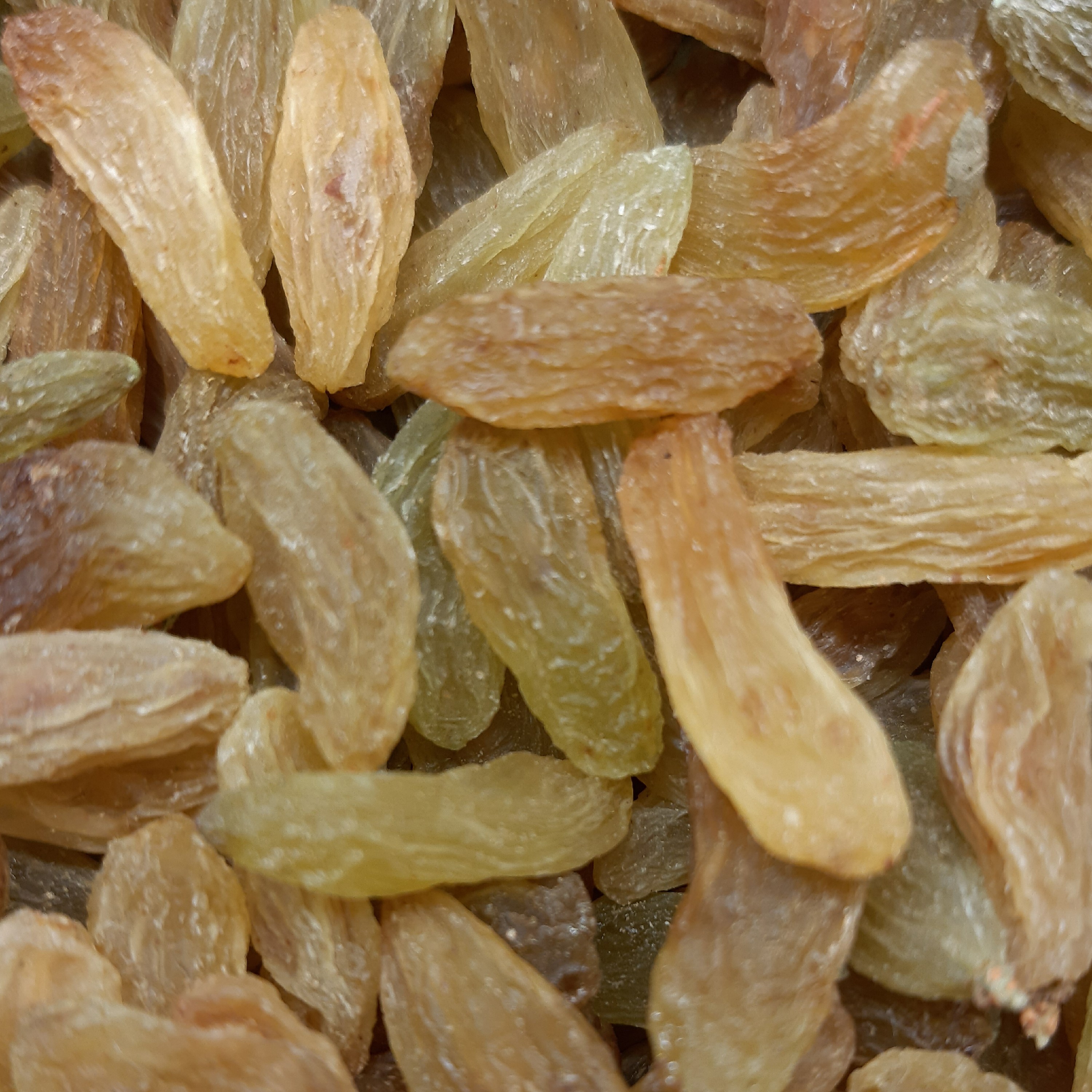 کشمش سبزافتابی قلمی 1(نیم کیلو)