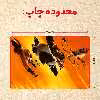پازل 35 تکه مدل پاندا مونگ فو کار کد 12