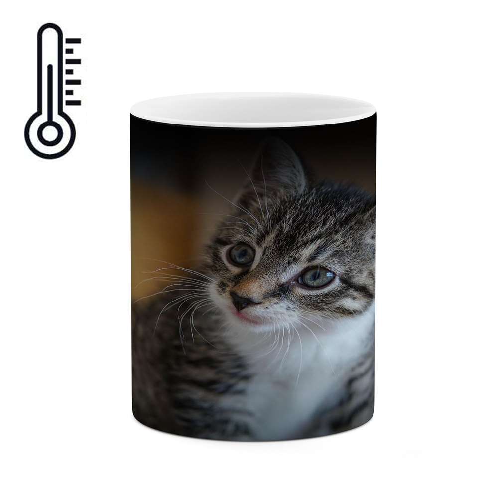 ماگ حرارتی کاکتی طرح گربه مدل mgh16577