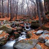 خرید و دانلود عکس Nature-Part-23 کد 36182 | پیک فاکس | Pic Fox