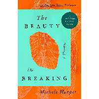 کتاب The Beauty in Breaking اثر Michele Harper انتشارات Riverhead Books