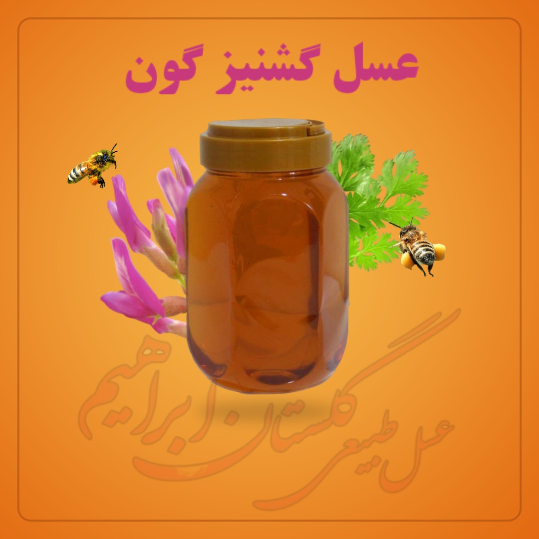 عسل گشنیز گون (نیم کیلویی)