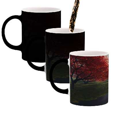 ماگ حرارتی کاکتی طرح منظره مدل mgh18209