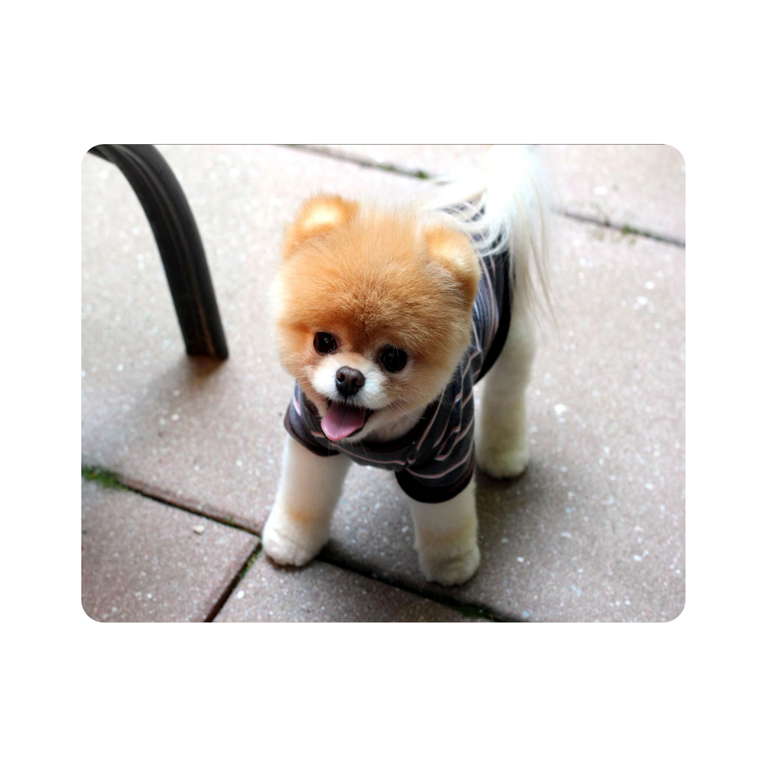 ماوس پد اطلس آبی طرح سگ مدل T1483