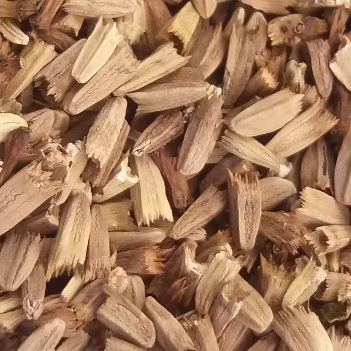 بذر سرخارگل با خلوص و قوه نامیه بالا