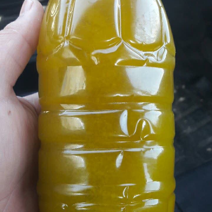 روغن زیتون خالص روغن زیتون اصل تو سرما سفت میشه عین عکس