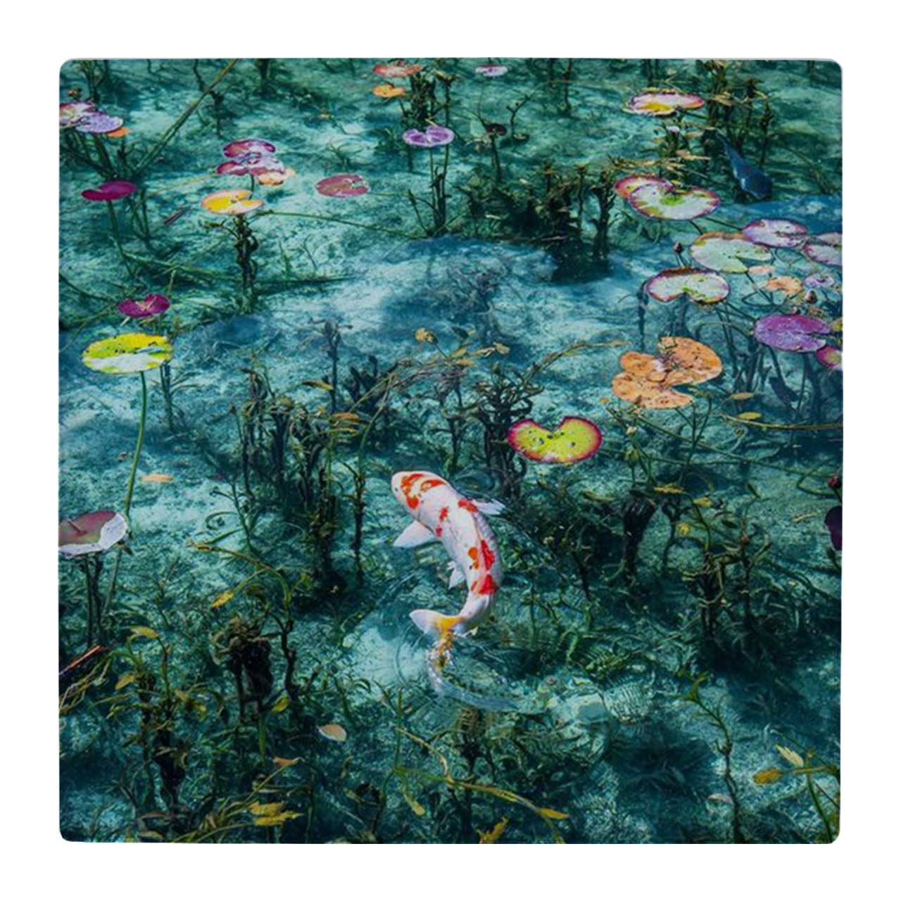  کاشی کارنیلا طرح نقاشی برکه و دو ماهی کد wk4711