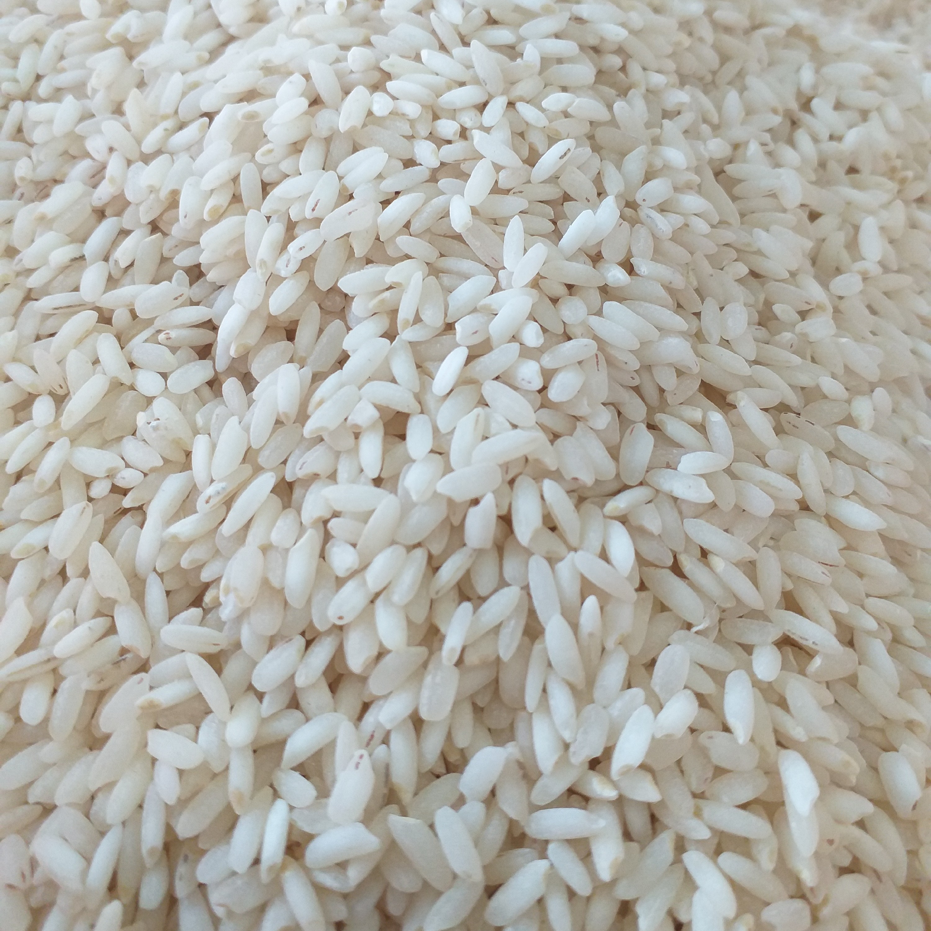 برنج غریب گیلان(عنبربو) خوشپخت و درجه یک به شرط