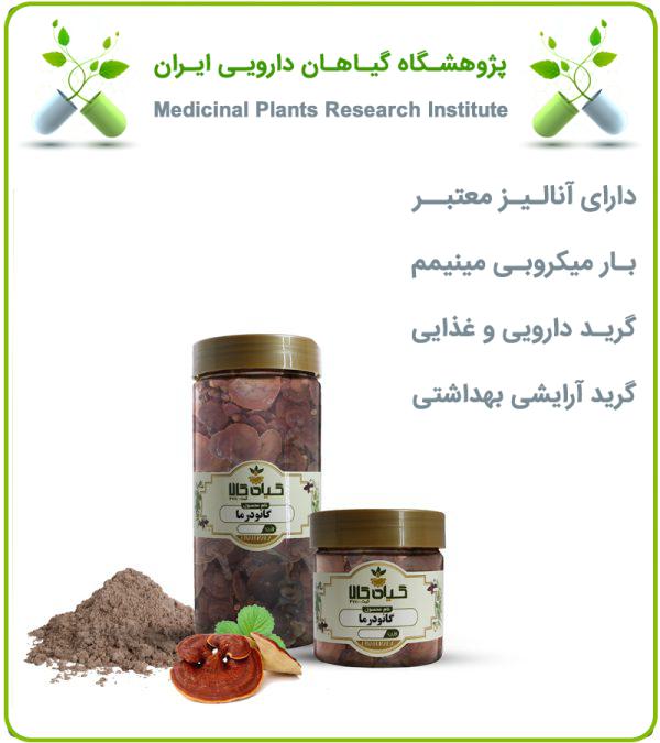قارچ گانودرما خشک یا پودری بسته بندی