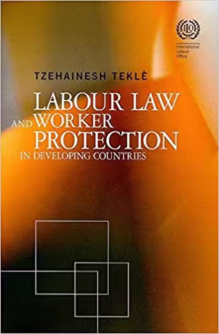 خرید و دانلود نسخه کامل کتاب Labour Law and Worker Protection in Developing Countries
