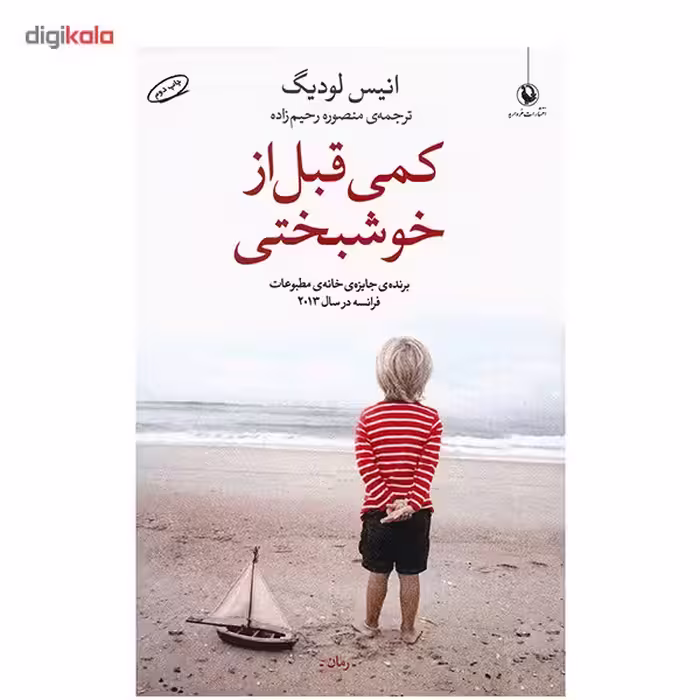 کتاب کمی قبل از خوشبختی اثر انیس لودیگ