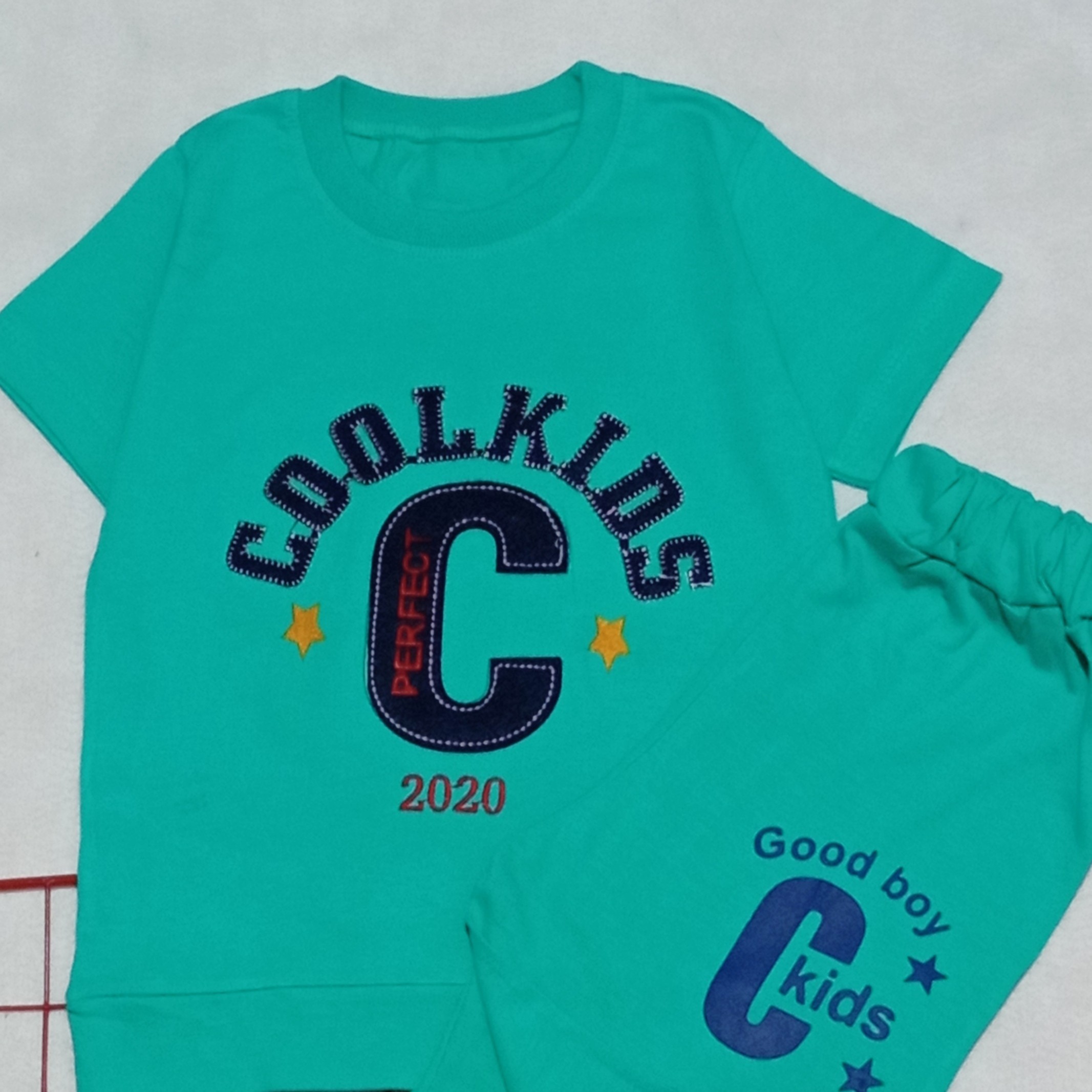 تیشرت شلوارک پسرانه خوش رنگ ، رنگ سبزآبی روشن ، جنس نخ پنبه با گلدوزی جلوی تیشرت  