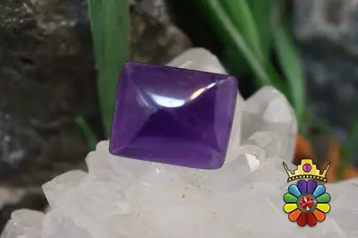 امتیست دامله(کاپوشی)