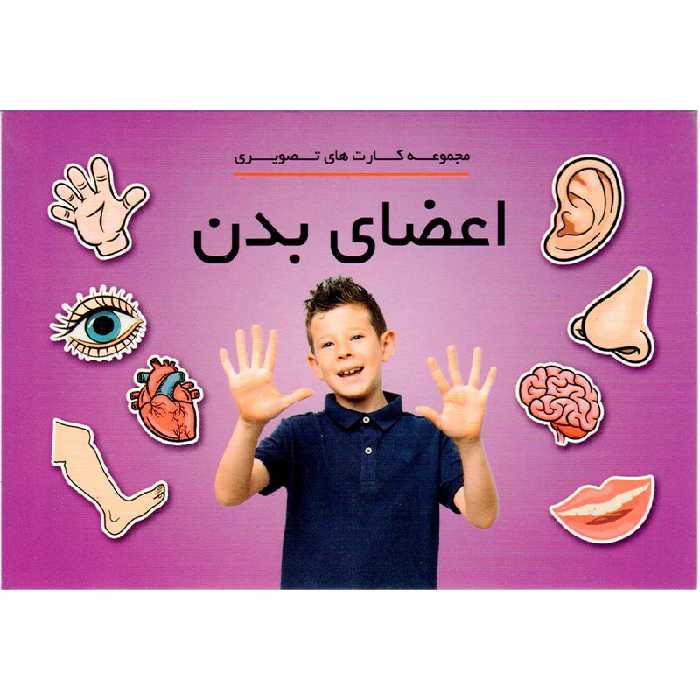 مجموعه کارت تصویری اعضای بدن دراگون