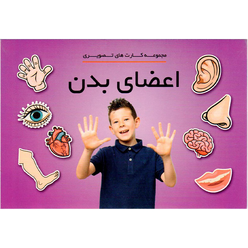 مجموعه کارت تصویری اعضای بدن دراگون