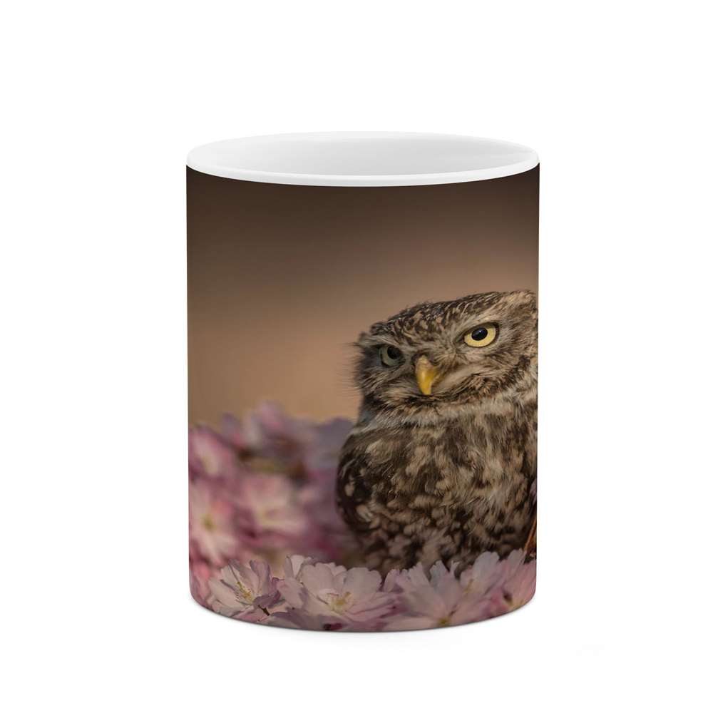 ماگ کاکتی طرح جغد مدل mgs16251