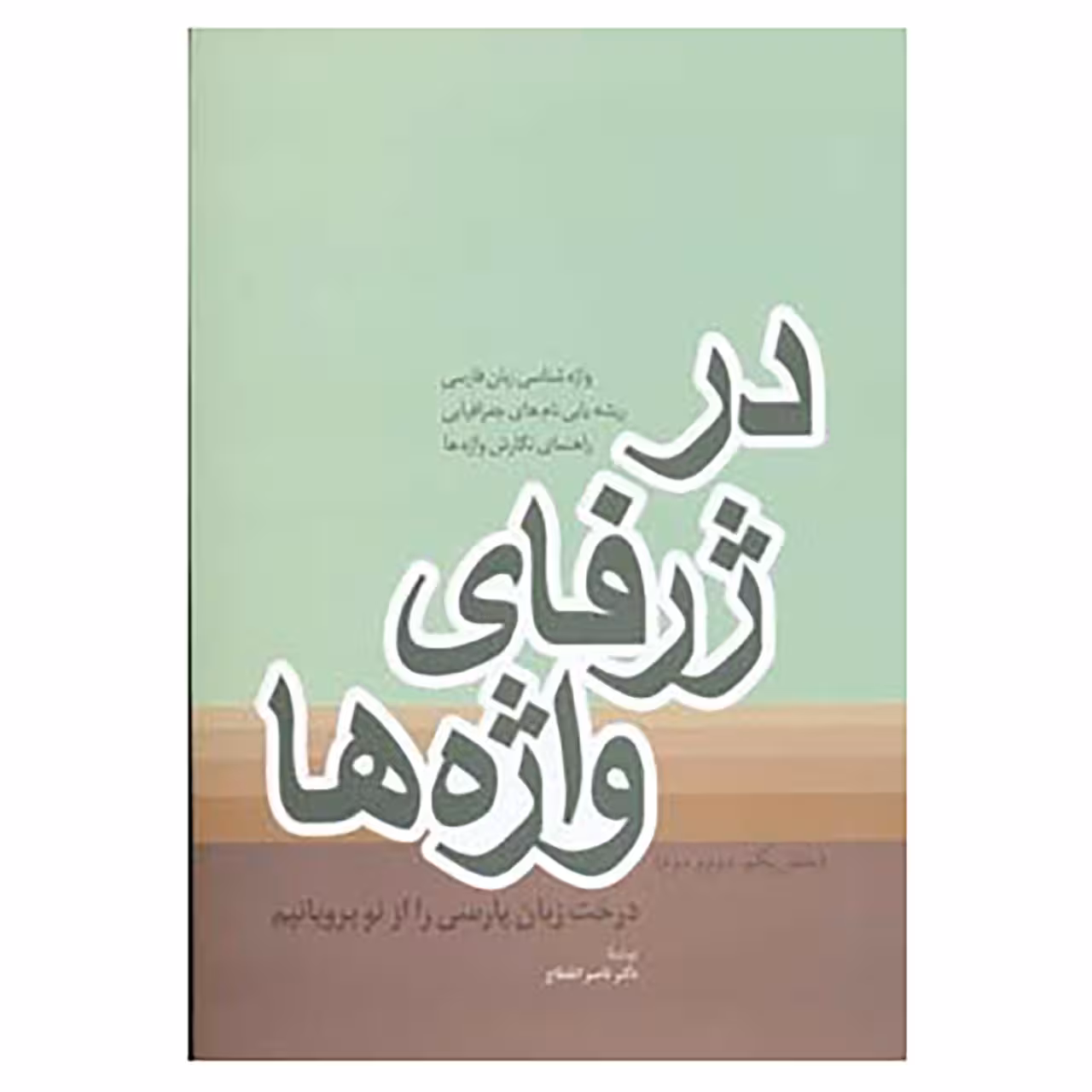 کتاب در ژرفای واژه ها اثر ناصر انقطاع