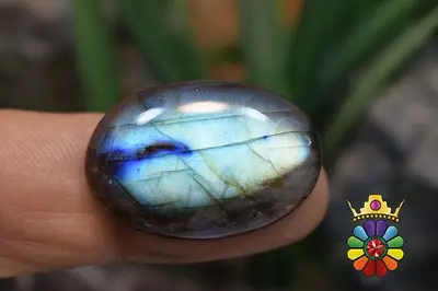 لابرادوریت